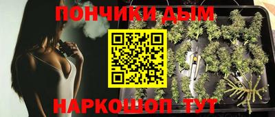 МДПВ Краснознаменск