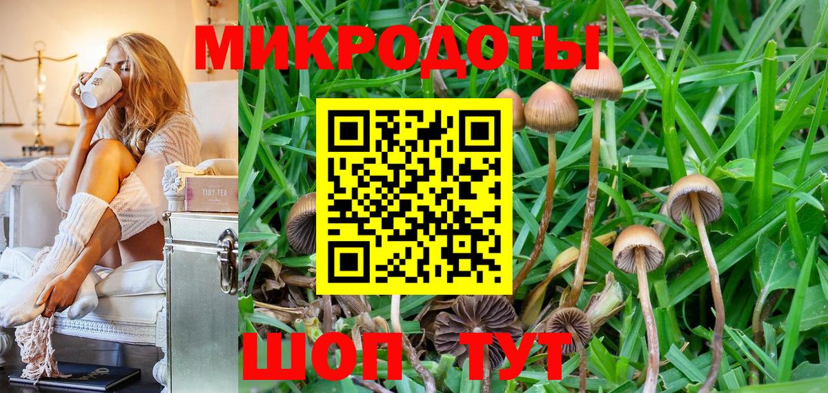 Псилоцибиновые грибы прущие грибы Камышин